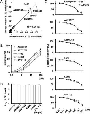 Identification of Novel Mycobacterial Inhibitors Against Mycobacterial Protein Kinase G